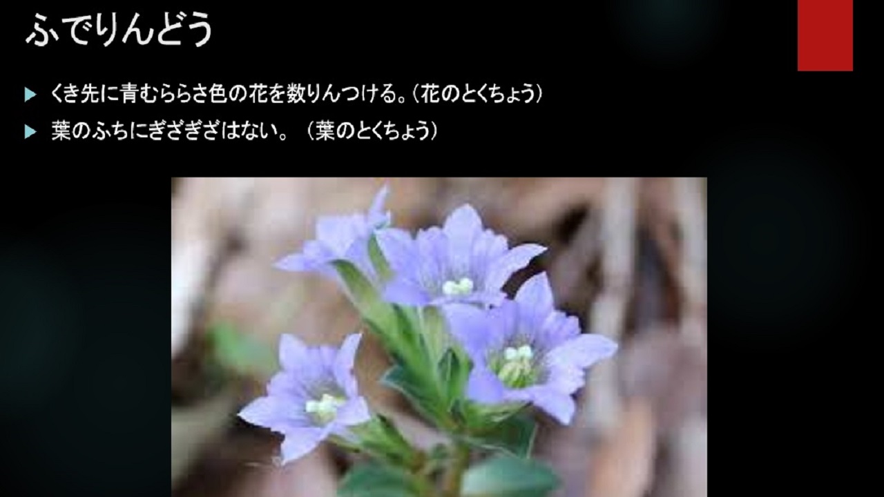 読み取りが少し楽しくなる !? 意味調べ 2.0 は 国語辞典 + PowerPoint の共同編集で – 授業・校務活用素材ポータル